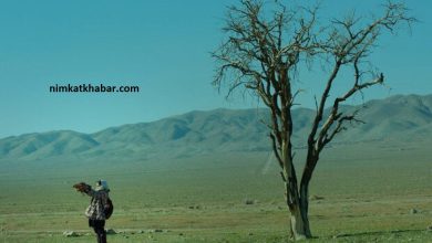 فیلم سینمایی " مسخ در مسلخ " در جشنواره فیلم کودک بنگلادش