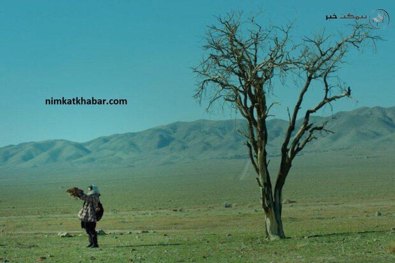 فیلم سینمایی مسخ در مسلخ در جشنواره فیلم کودک بنگلادش