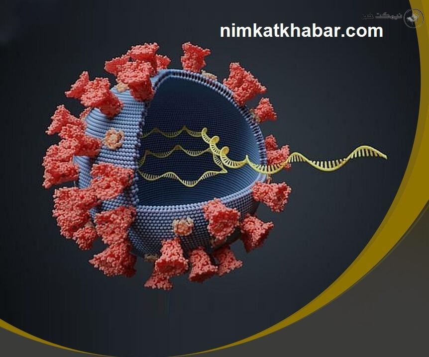 حضور کرونای انگلیسی در سراسر مازندران و گردش نوروزی این ویروس در این استان