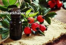 بررسی فواید روغن های گیاهی برای شادابی و طراوت پوست