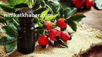 بررسی فواید روغن های گیاهی برای شادابی و طراوت پوست