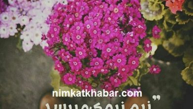 متن تبریک فرا رسیدن عید نوروز و شادباش شروع روزهای زیبای بهاری متن تبریک فرا رسیدن عید نورور و شادباش شروع روزهای زیبای بهاری