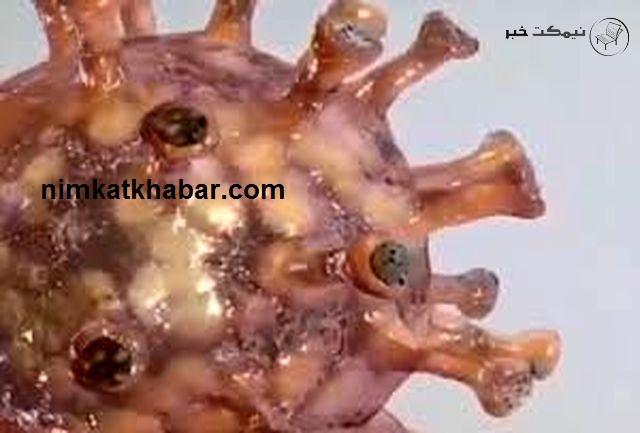 درگیری ریه در کمتر از 24 ساعت درگیری ریه در کمتر از 24 ساعت با ویروس کرونای هندی + جزئیات
