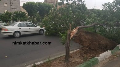 هشدار هواشناسی برای وزش باد و رعد و برق با سطح اخطار نارنجی