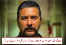 بیوگرافی امیرحسین صدیق بازیگر