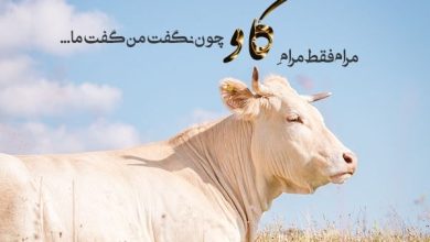 مجموعه تکست و متن در مورد مرام به همراه جملات سنگین و با معنی