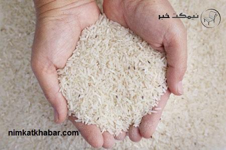 آموزشی برای ازبین بردن شپشک برنج + روش های جلوگیری شپشک برنج