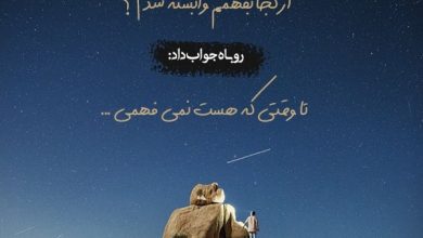 دیالوگ های زیبا از شازده کوچولو به همراه جملات خاص و احساسی دیالوگ های زیبا از شازده کوچولو