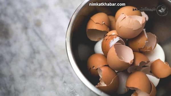 فواید پوست تخم مرغ فواید پوست تخم مرغ برای پوست و مو و سلامت دندان های افراد
