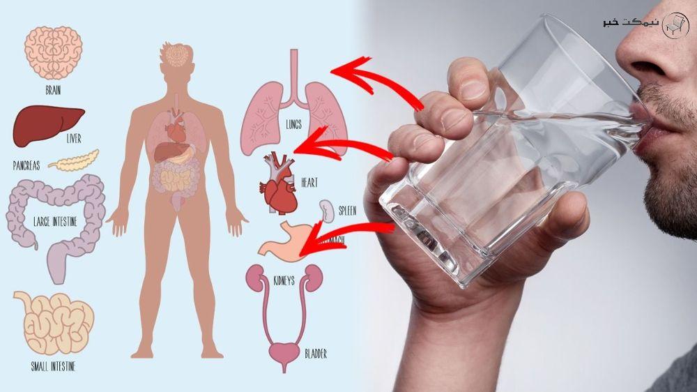 مضرات اب جوشیده 