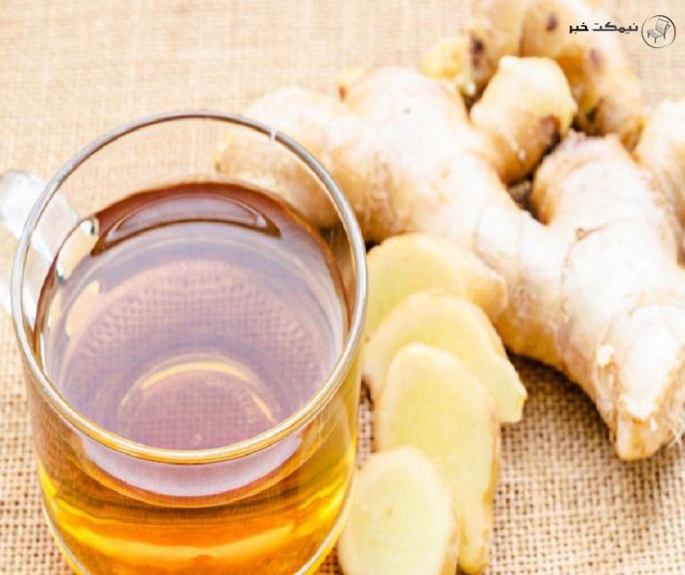 چه گیاهی برای کاهش کلسترول خون مفید است