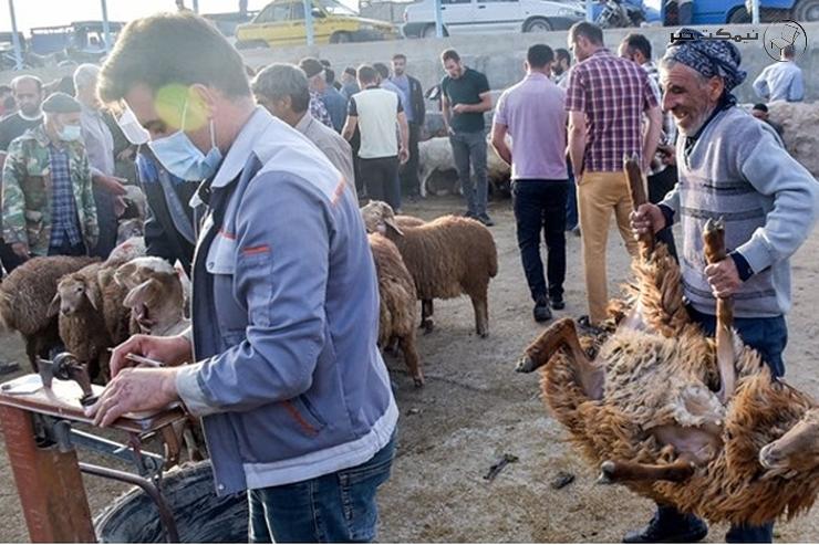 خطر جانی تب کنگو برای انسان