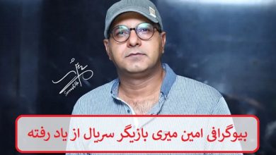 بیوگرافی امین میری