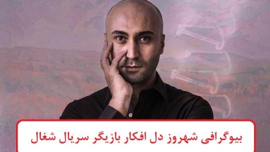 بیوگرافی شهروز دل افکار بازیگر