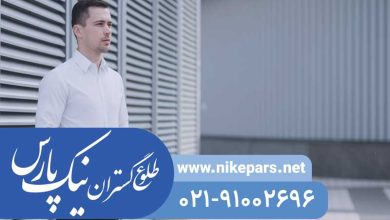 اخذ رتبه نیک پارس