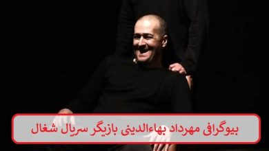 بیوگرافی مهرداد بهاءالدینی بازیگر سریال شغال