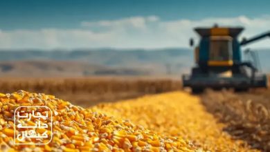 تجارت دانه کیهان