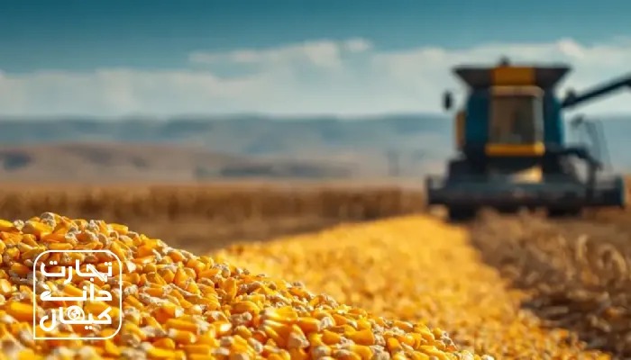 تجارت دانه کیهان تجارت دانه کیهان