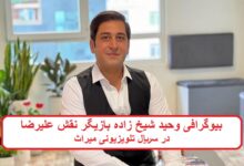 بیوگرافی وحید شیخ زاده بازیگر نقش علیرضا در سریال تلویزیونی میراث بیوگرافی وحید شیخ زاده بازیگر