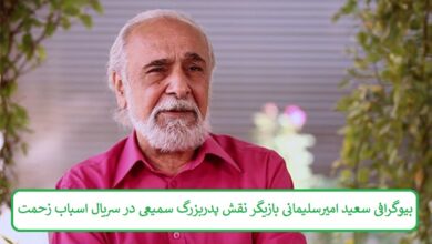 بیوگرافی سعید امیرسلیمانی بازیگر نقش پدربزرگ سمیعی در سریال اسباب زحمت