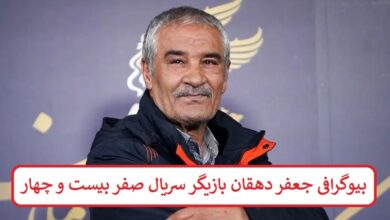 بیوگرافی جعفر دهقان بازیگر سریال صفر بیست و چهار